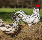 Recycled Metal Cockerel
